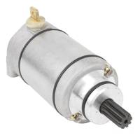 Caltric - Caltric Starter 18839