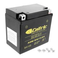 Caltric - Caltric Battery BA120-2
