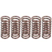 Caltric - Caltric Clutch Springs CS139*5