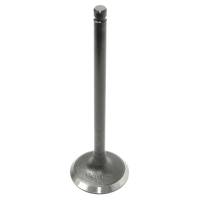 Caltric - Caltric Intake Valve VA102