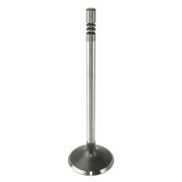 Caltric - Caltric Intake Valve VA111