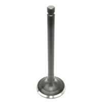 Caltric - Caltric Exhaust Valve VA113