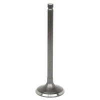 Caltric - Caltric Intake Valve VA122