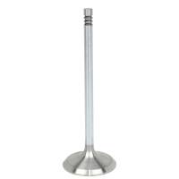 Caltric - Caltric Intake Valve VA129