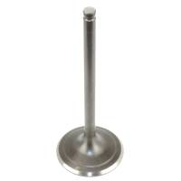 Caltric - Caltric Intake Valve VA132