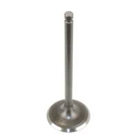 Caltric - Caltric Intake Valve VA134