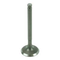 Caltric - Caltric Intake Valve VA148