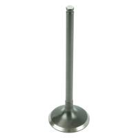 Caltric - Caltric Exhaust Valve VA151