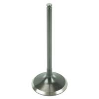 Caltric - Caltric Intake Valve VA152