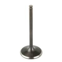 Caltric - Caltric Intake Valve VA163