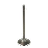 Caltric - Caltric Intake Valve VA170