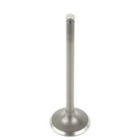 Caltric - Caltric Exhaust Vlave VA184