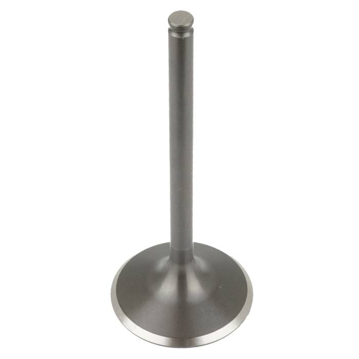 Caltric - Caltric Intake Valve VA153 - Image 1