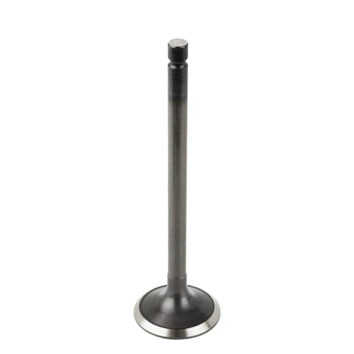 Caltric - Caltric Exhaust Valve VA164 - Image 1