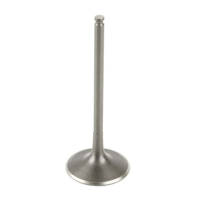 Caltric - Caltric Exhaust Valve VA185 - Image 1