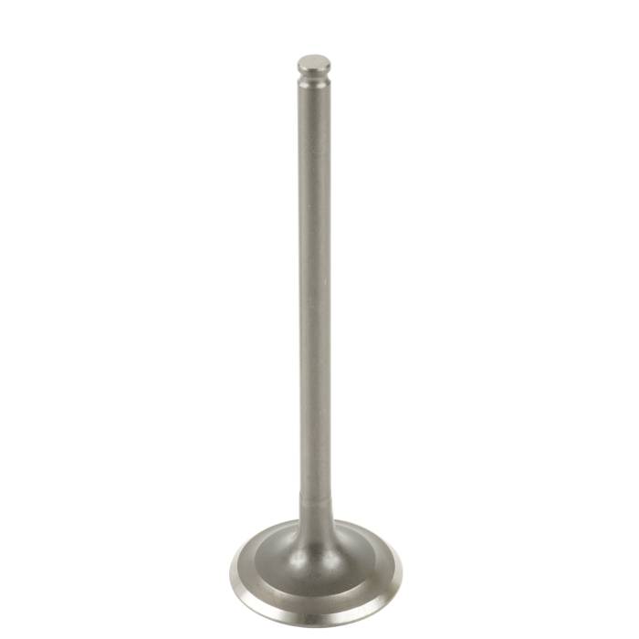 Caltric - Caltric Exhaust Valve VA192 - Image 1