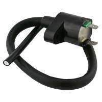 Caltric Ignition Coil IC118