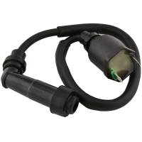 Caltric Ignition Coil IC119