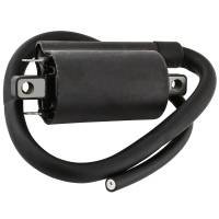 Caltric Ignition Coil IC120-2