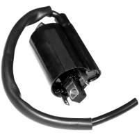 Caltric Ignition Coil IC145