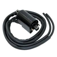 Caltric Ignition Coil IC202