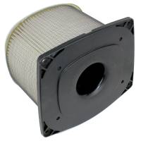 Caltric Air Filter AF134