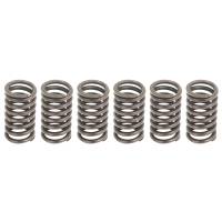 Caltric Clutch Springs CS102*6