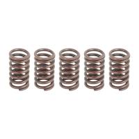 Caltric Clutch Springs CS104*5