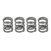 Caltric Clutch Springs CS110*4