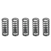 Caltric Clutch Springs CS113*5