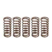 Caltric Clutch Springs CS134*5