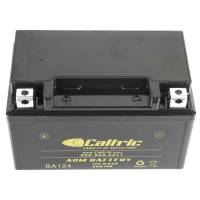Caltric - Caltric Battery BA124-2 - Image 3